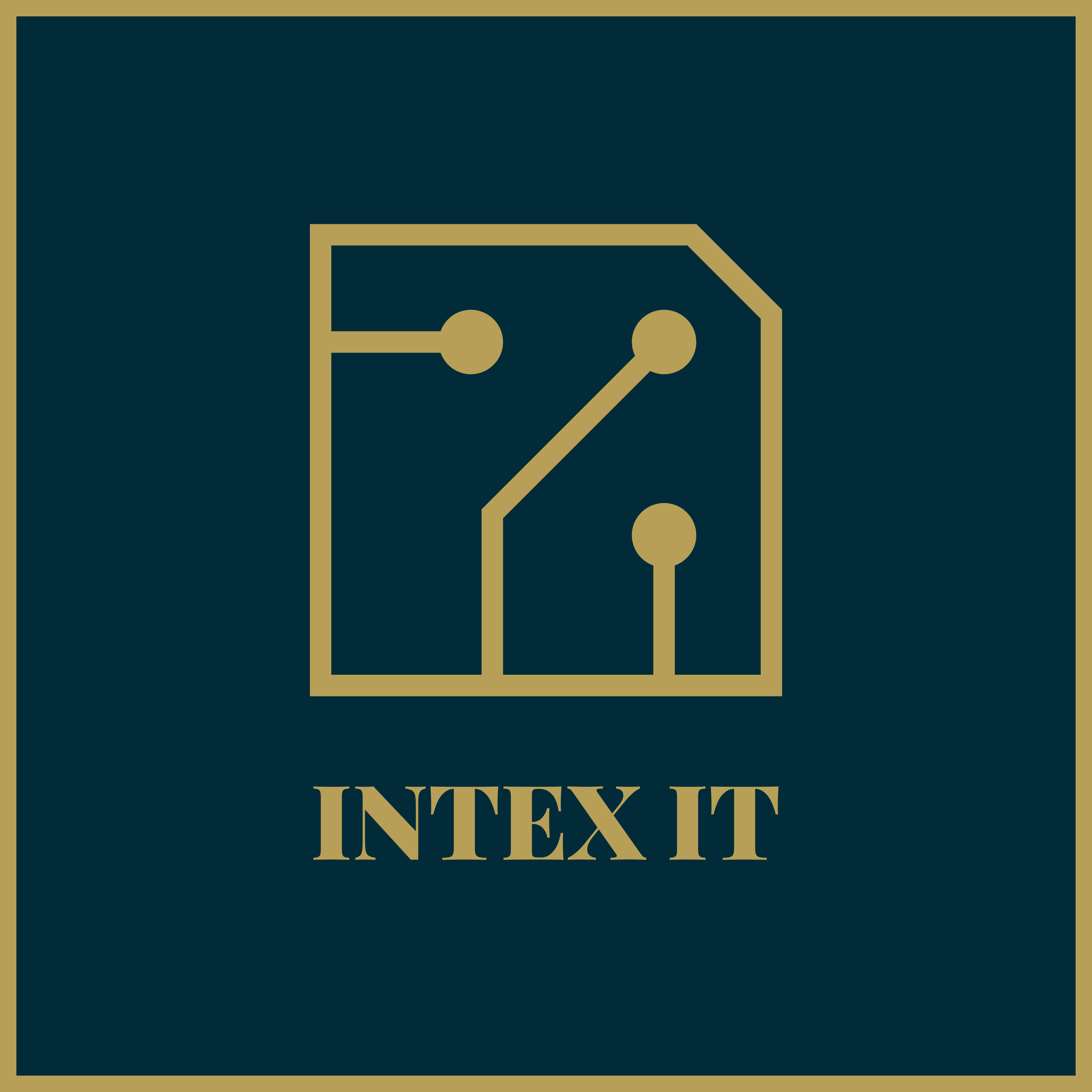 Intex IT Cyber Security Consultancy
